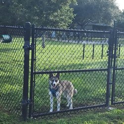 Peaceful Ridge Dog Park