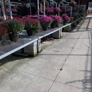 The Home Depot - Nurseries & Gardening Near Me - Bridgewater, Massachusetts