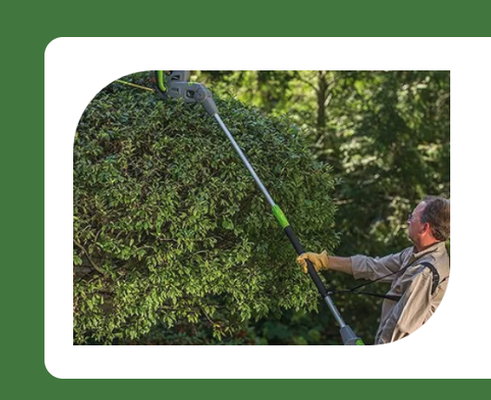 Seasonal Cleanups! - We offer comprehensive seasonal cleanups to prepare your lawn for changing weather conditions. Our services include leaf removal, debris cleanup, and winterization to keep your lawn in top shape year-round. Seasonal Cleanups! - We offer comprehensive seasonal cleanups to prepare your lawn for changing weather conditions. Our services include leaf removal, debris cleanup, and winterization to keep your lawn in top shape year-round.