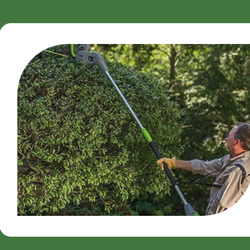 Maulolo Lawn Care Services - Lawn Care