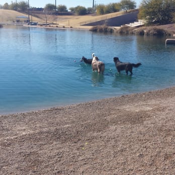 Crossroads Park - Dog Parks Near Me - Gilbert, Arizona Crossroads Park - Dog Parks Near Me - Gilbert, Arizona