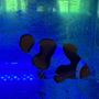 Photo of The Coral Enclave