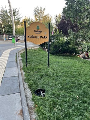 Kuğulu Park by null