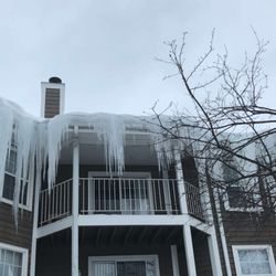 Midwest Tree Experts