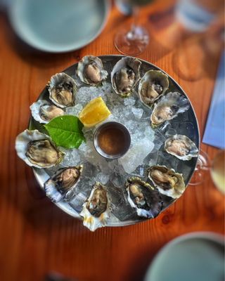 Half Shell by null