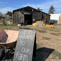 Suncatcher Farm - Entrance