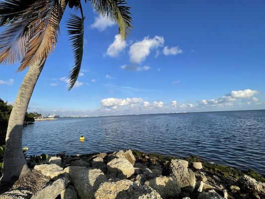 The Kampong, National Tropical Botanical Garden by null