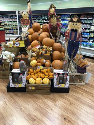 Winn-Dixie by null