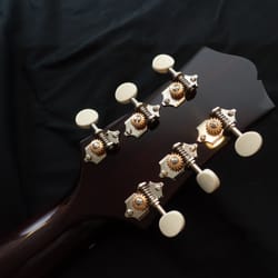 Banjo Studio - Collings C-10 Guitar