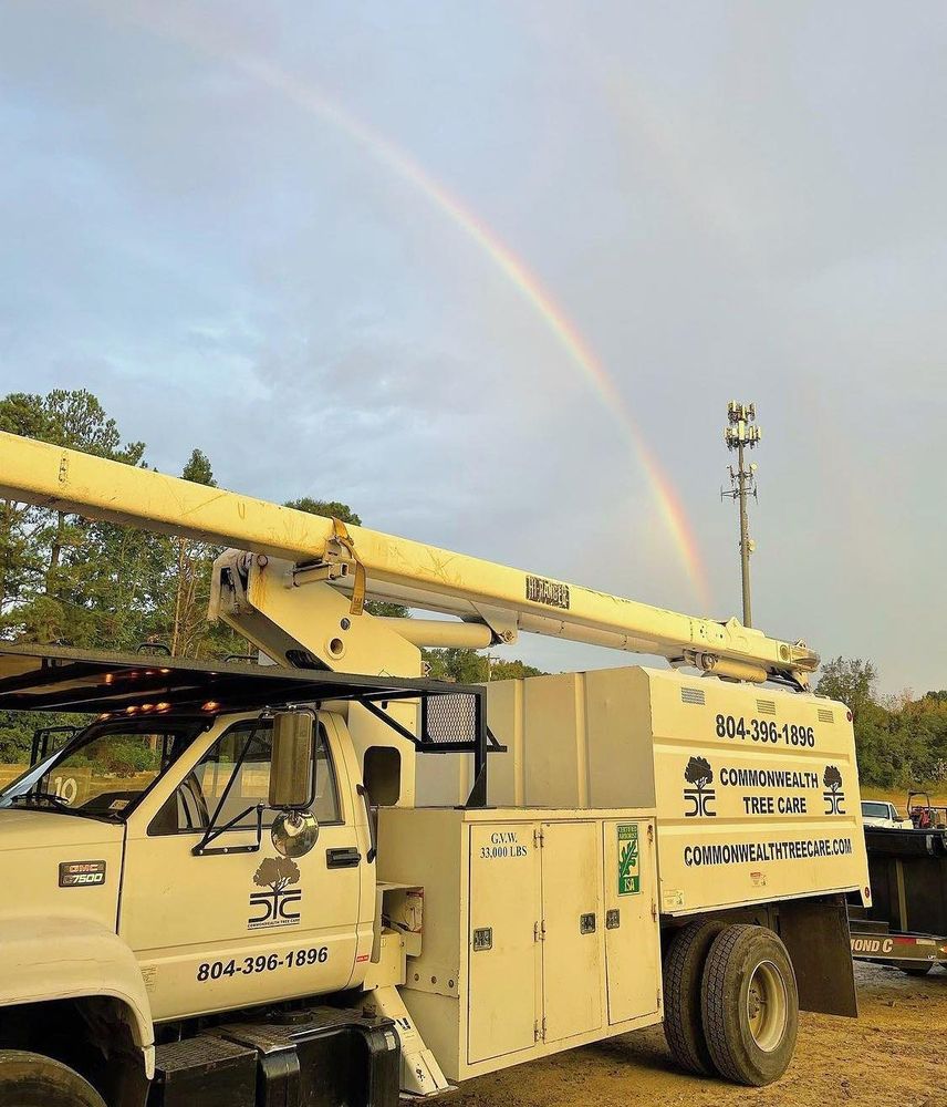 Commonwealth Tree Care - tree service in Richmond, VA