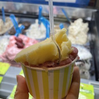 Gladiators Ice Cream - Mango and berry - Ice Cream & Frozen Yogurt Near Me - Key West, Florida Gladiators Ice Cream - Mango and berry - Ice Cream & Frozen Yogurt Near Me - Key West, Florida