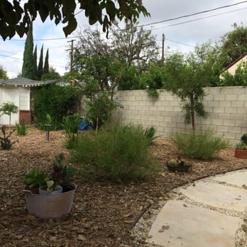Go Green Gardeners - Back yard area completed, for the prior photo which had weed cloth and mulch being spread out over irrigation. - Landscaping Near Me - Los Angeles, California Go Green Gardeners - Back yard area completed, for the prior photo which had weed cloth and mulch being spread out over irrigation. - Landscaping Near Me - Los Angeles, California