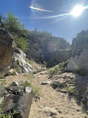 Honey Bee Canyon by null