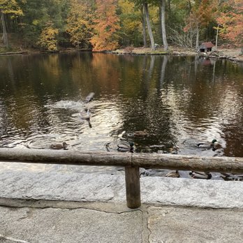 The 1761 Old Mill - Beautiful venue and food and service were great... - American Near Me - Westminster, Massachusetts