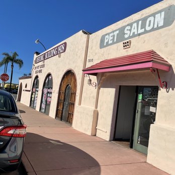 Pawsitively Perfect - Pet Groomers Near Me - Lemon Grove, California Pawsitively Perfect - Pet Groomers Near Me - Lemon Grove, California