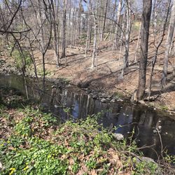 Sligo Creek Park