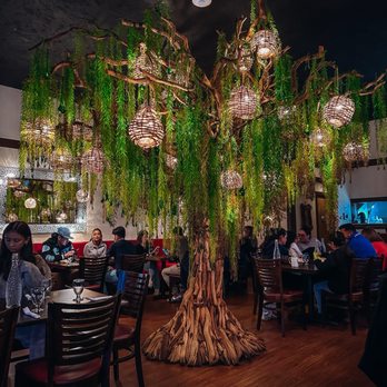 D' La Santa - The restaurant interior - Mexican Near Me - Seattle, Washington D' La Santa - The restaurant interior - Mexican Near Me - Seattle, Washington