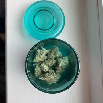 One Plant - Castroville - Blue Dreams - Cannabis Dispensaries Near Me - Castroville, California One Plant - Castroville - Blue Dreams - Cannabis Dispensaries Near Me - Castroville, California