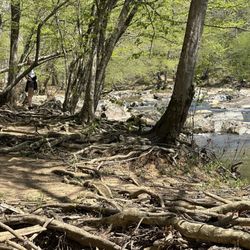 Eno River State Park - Hiking