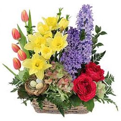 Woods Cove Flowers & Gifts - Flowers for every occasion.
