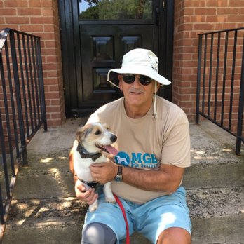 MGB Pet Sitters - This is Jet in Middletown - Dog Walkers Near Me MGB Pet Sitters - This is Jet in Middletown - Dog Walkers Near Me