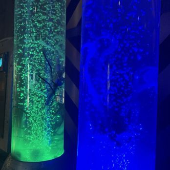The Bao Spot - What's floating inside the bubble tubes??? - Asian Fusion Near Me - Orlando, Florida The Bao Spot - What's floating inside the bubble tubes??? - Asian Fusion Near Me - Orlando, Florida