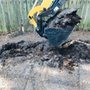 Photo of A To Z Tree Service