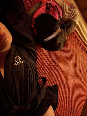 The Dive Motel by null