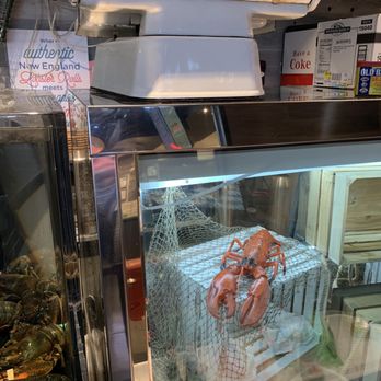 J's Lobster & Fish Market - Seafood Markets Near Me - Indianapolis, Indiana J's Lobster & Fish Market - Seafood Markets Near Me - Indianapolis, Indiana