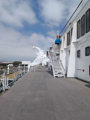 The Queen Mary by null