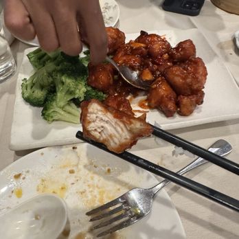 Dim Sum Palace - Dim Sum Near Me - New York, New York