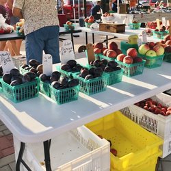 Ludington Farmers Market - Stone fruit and apples