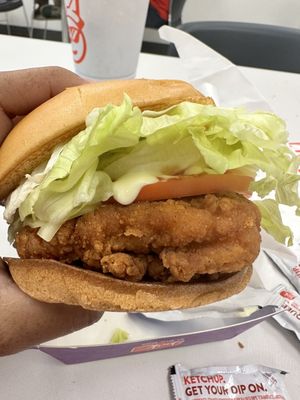 Jack in the Box by null