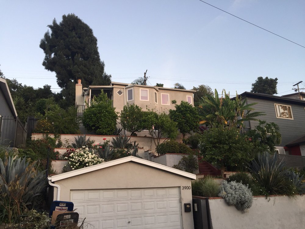 The Urban Lumberjack - tree service in Los Angeles, CA