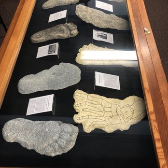 Tourism Harrison - Footprints - Visitor Centers Near Me - Harrison Hot Springs, British Columbia Tourism Harrison - Footprints - Visitor Centers Near Me - Harrison Hot Springs, British Columbia