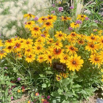 Denver Botanic Gardens - Botanical Gardens Near Me - Denver, Colorado Denver Botanic Gardens - Botanical Gardens Near Me - Denver, Colorado