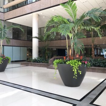 CSuite Solutions - Business Consulting Near Me - Tampa, Florida CSuite Solutions - Business Consulting Near Me - Tampa, Florida