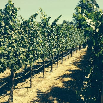 Lancaster Estate - Wine Tasting Room Near Me - Healdsburg, California