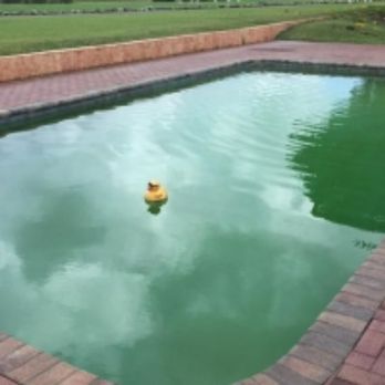 Virginia Certified Pool - Before - Pool Cleaners Near Me - Virginia Beach, Virginia Virginia Certified Pool - Before - Pool Cleaners Near Me - Virginia Beach, Virginia