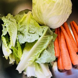 Crows Nest Cafe - Fresh