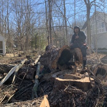 Williams Tree Service - Going all the way up! - Tree Services Near Me - Winamac, Indiana Williams Tree Service - Going all the way up! - Tree Services Near Me - Winamac, Indiana