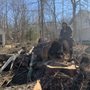 Williams Tree Service