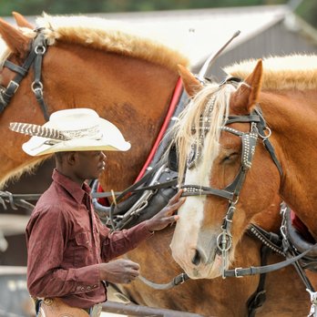 Bar W Guest Ranch - Our horse are our best friends - Horseback Riding Near Me - Whitefish, Montana Bar W Guest Ranch - Our horse are our best friends - Horseback Riding Near Me - Whitefish, Montana