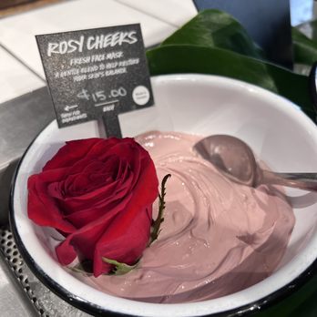 Lush - Face Mask - Cosmetics & Beauty Supply Near Me - Tukwila, Washington Lush - Face Mask - Cosmetics & Beauty Supply Near Me - Tukwila, Washington