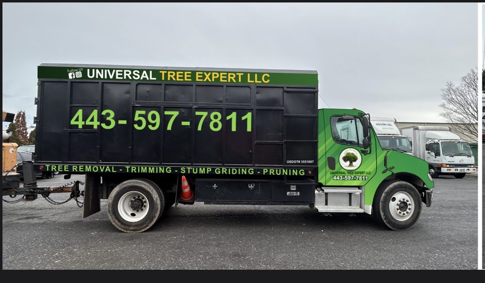 Universal Tree Expert - tree service in Glen Burnie, MD