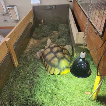 Just Pets - Pet Stores Near Me - Irving, New York