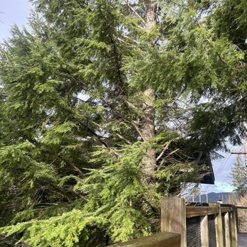 Snoqualmie Falls - Parks Near Me - Snoqualmie, Washington Snoqualmie Falls - Parks Near Me - Snoqualmie, Washington