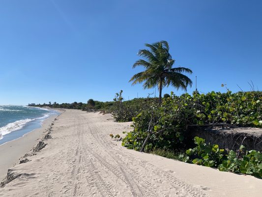 Dr. Von D. Mizell-Eula Johnson State Park by null