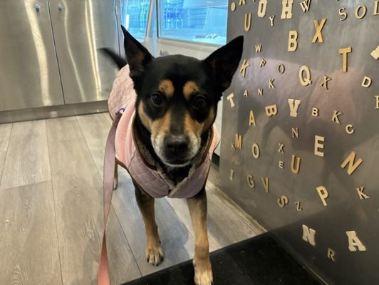 Volumes Bookcafe by null