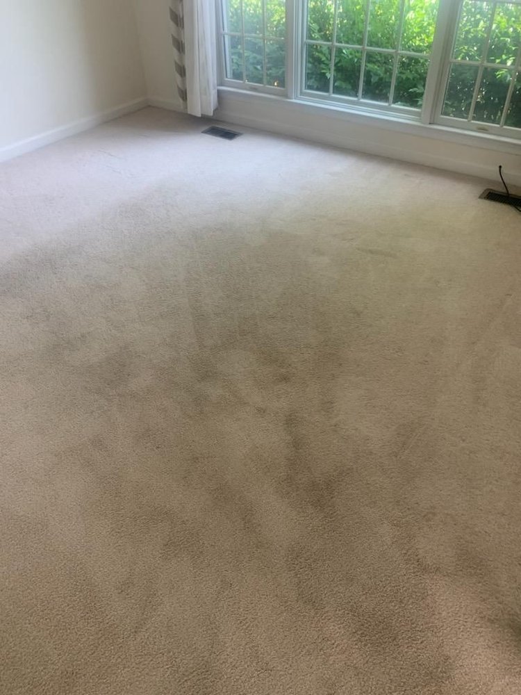 COVENTRY CARPET CLEANING Severna Park, Maryland Carpet Cleaning